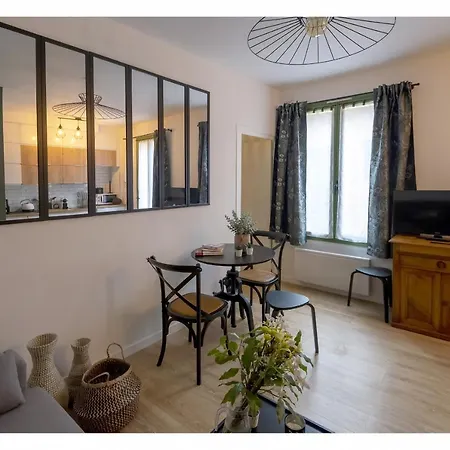Quartier Liberation: Jolie 2pieces Sur Cours/wifi Apartment *
